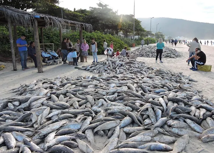 Apto 2 Quartos No Centro De Bombinhas, 130 Metros Praia